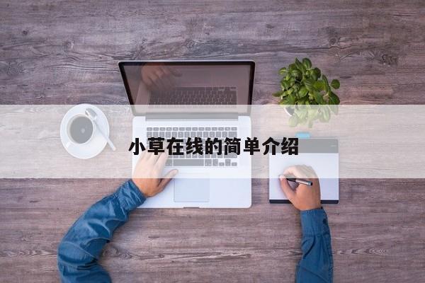 小草在线的简单介绍