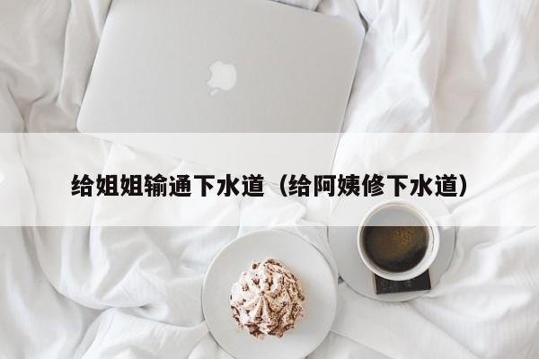 给姐姐输通下水道(给阿姨修下水道)