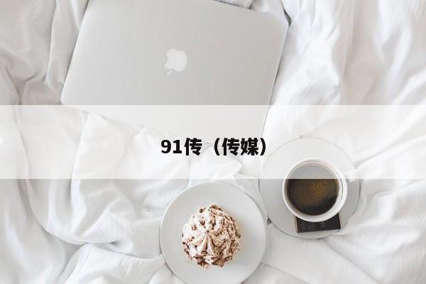 91传(传媒)