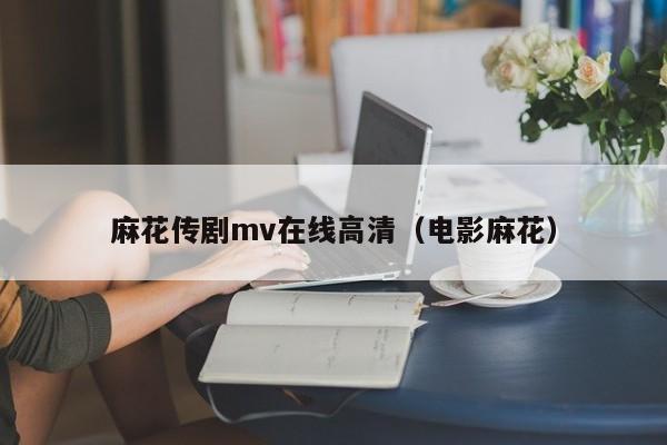 麻花传剧mv在线高清(电影麻花)