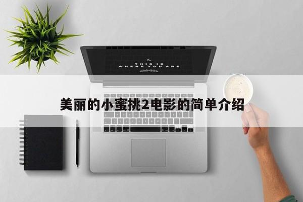 美丽的小蜜挑2电影的简单介绍